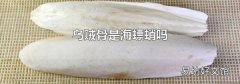 烏賊骨是海螵蛸嗎