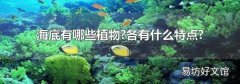 海底有哪些植物?各有什么特點(diǎn)?
