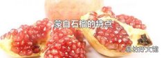 蒙自石榴的特点