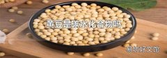 黄豆是碳水化合物吗