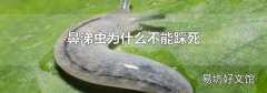 鼻涕蟲為什么不能踩死