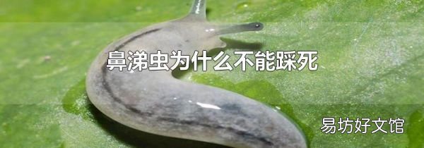 鼻涕蟲為什么不能踩死