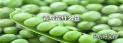 青豆是什么豆