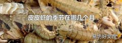 皮皮蝦的季節(jié)在哪幾個(gè)月