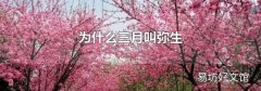 為什么三月叫彌生