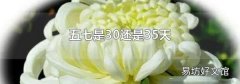 五七是30還是35天