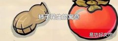柿子花生的寓意