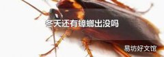 冬天還有蟑螂出沒嗎
