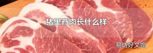 豬里脊肉長什么樣