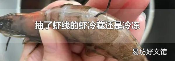 抽了虾线的虾冷藏还是冷冻
