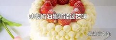 動(dòng)物奶油蛋糕能過夜嗎