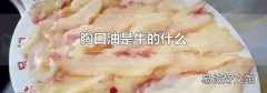 胸口油是牛的什么