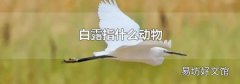 白露指什么动物