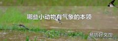 哪些小动物有气象的本领