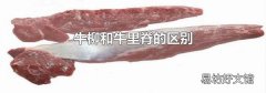 牛柳和牛里脊的区别