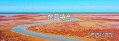 东营特产