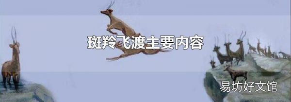 斑羚飞渡主要内容