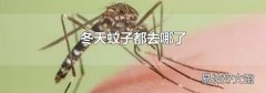 冬天蚊子都去哪了