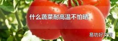 什么蔬菜耐高溫不怕曬