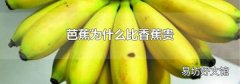 芭蕉為什么比香蕉貴