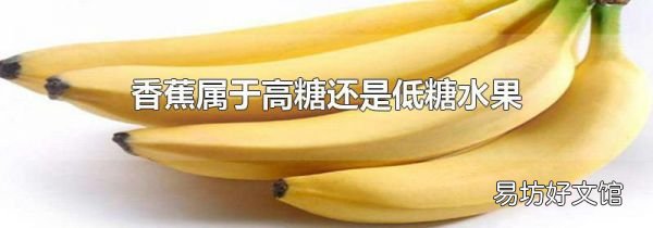 香蕉属于高糖还是低糖水果