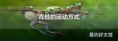 青蛙的运动方式