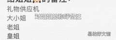 对姐姐的称呼备注