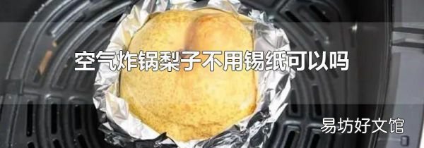 空气炸锅梨子不用锡纸可以吗
