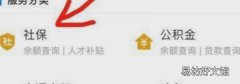 网上怎么缴纳养老保险