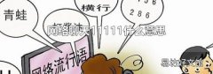 网络聊天11111什么意思