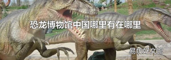 恐龙博物馆中国哪里有在哪里