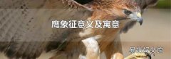 鷹象征意義及寓意