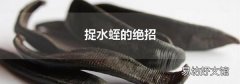 捉水蛭的絕招
