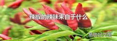 辣椒的辣味來(lái)自于什么
