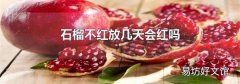 石榴不紅放幾天會紅嗎