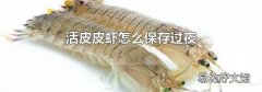 活皮皮蝦怎么保存過夜