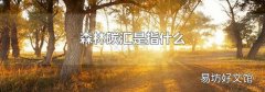 森林碳汇是指什么