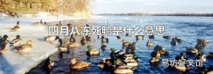 四月八凍死鴨是什么意思
