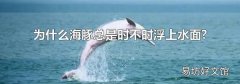 為什么海豚總是時(shí)不時(shí)浮上水面?