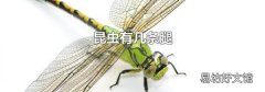 昆虫有几条腿