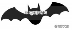 蝙蝠有眼睛嗎