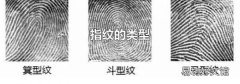 指紋的類(lèi)型