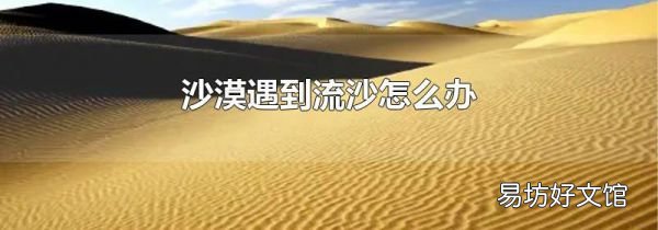 沙漠遇到流沙怎么办