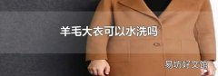羊毛大衣可以水洗吗