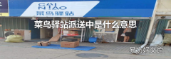 菜鳥(niǎo)驛站派送中是什么意思