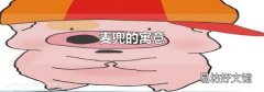 麥兜的寓意