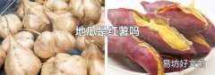地瓜是紅薯嗎