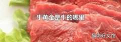 牛黃金是牛的哪里