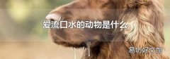 愛流口水的動(dòng)物是什么