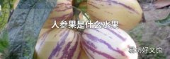 人參果是什么水果